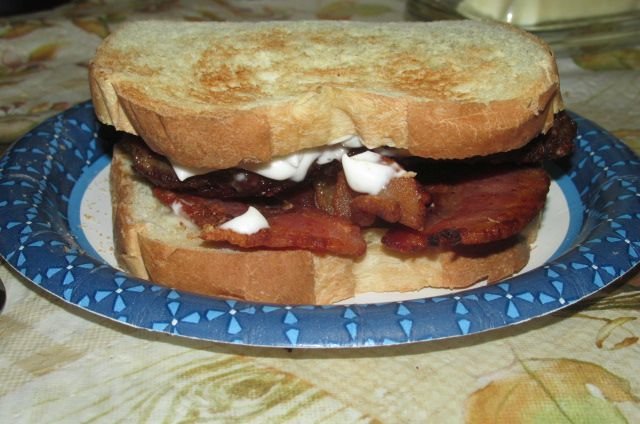 200423 003 first sandwich 003.jpg