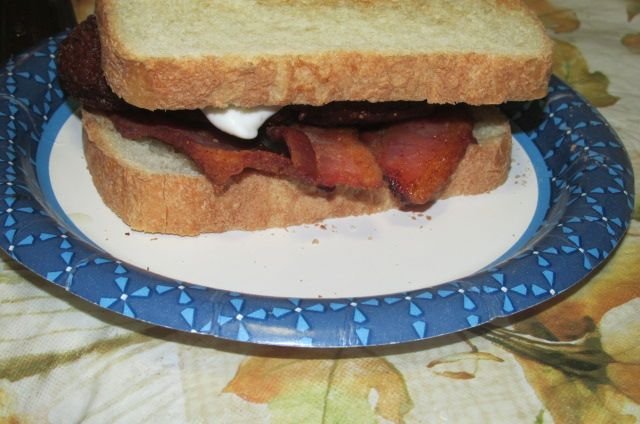 200423 003 first sandwich 002.jpg