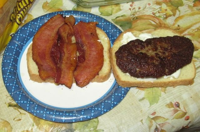 200423 003 first sandwich 001.jpg