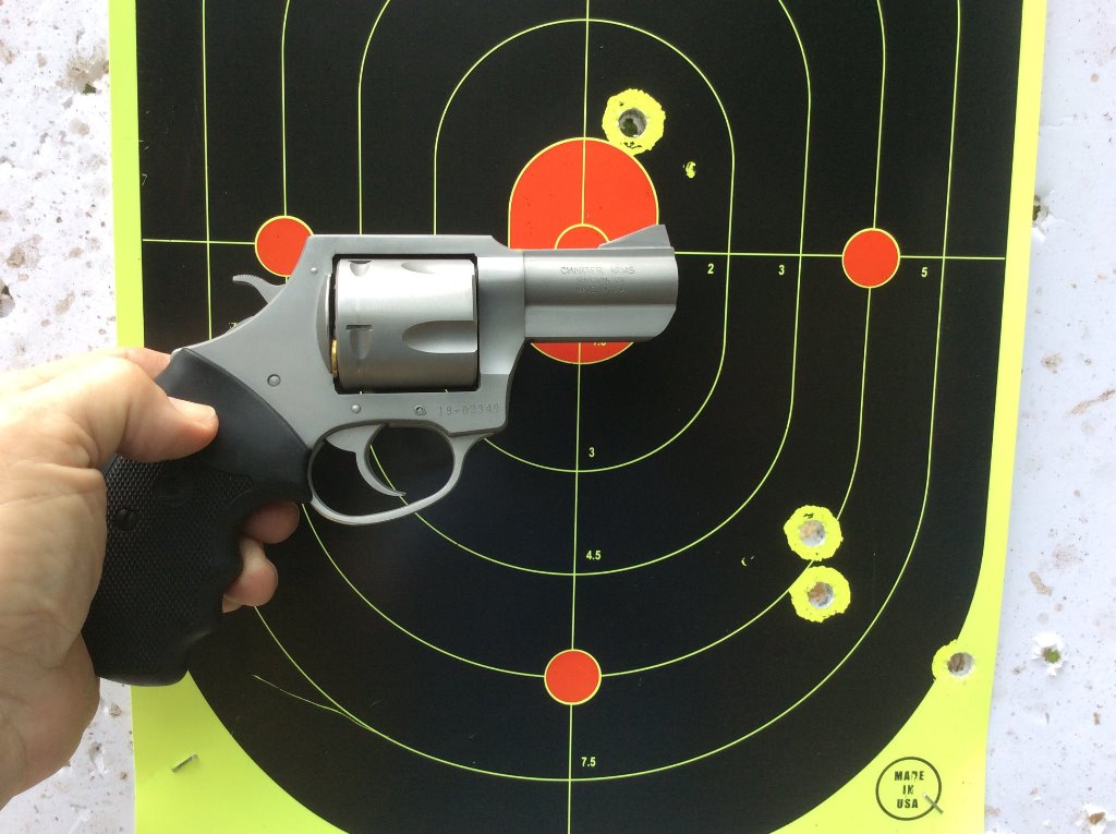 fast point shoot 45 colt bull dog.jpg