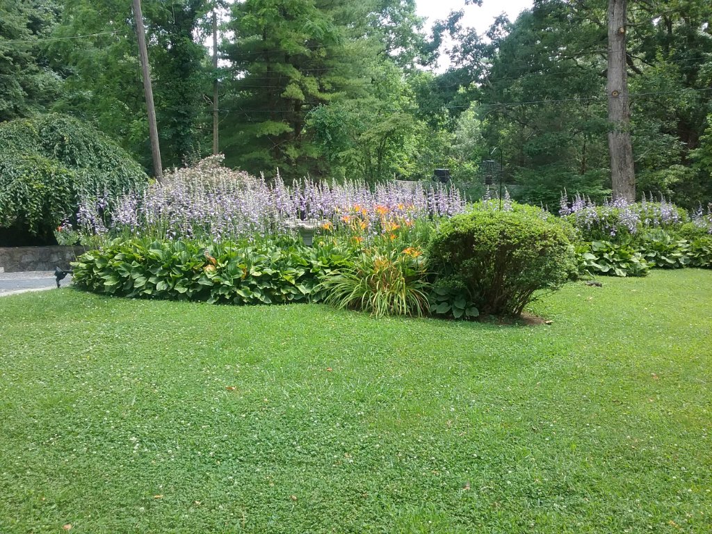 20200704_152128.jpg