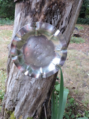 DSCN0827.JPG