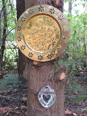 DSCN0837.JPG