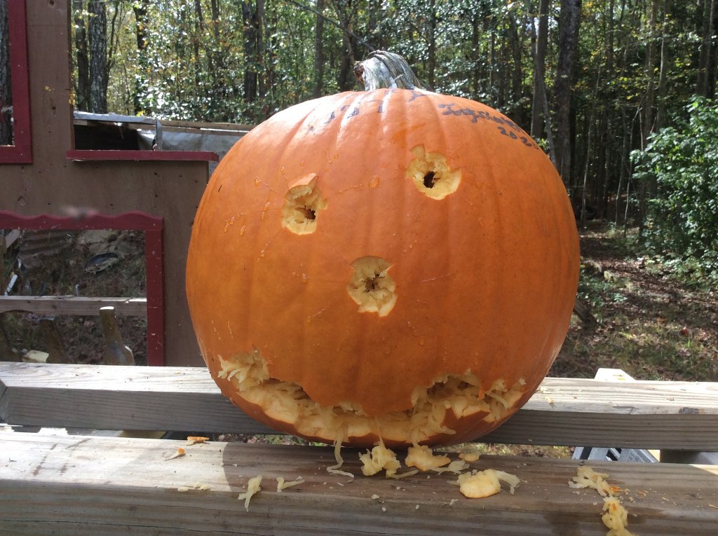 2020 pumpkin carving with Henry 357.jpg