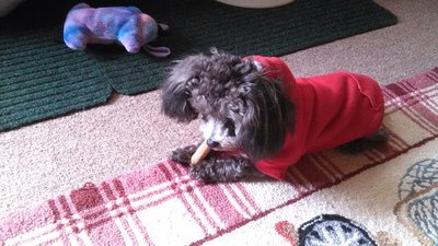 IMG_20160923_140854.jpg