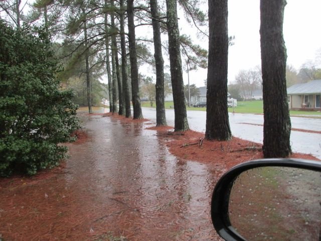 201112 001 heavty rain 006.jpg