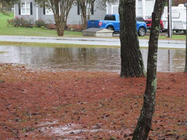 201112 001 heavty rain 003.jpg