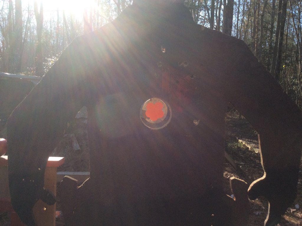 3 inch steel center target.jpg