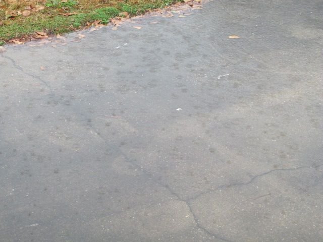 201231 001 last morning 2020 003.jpg