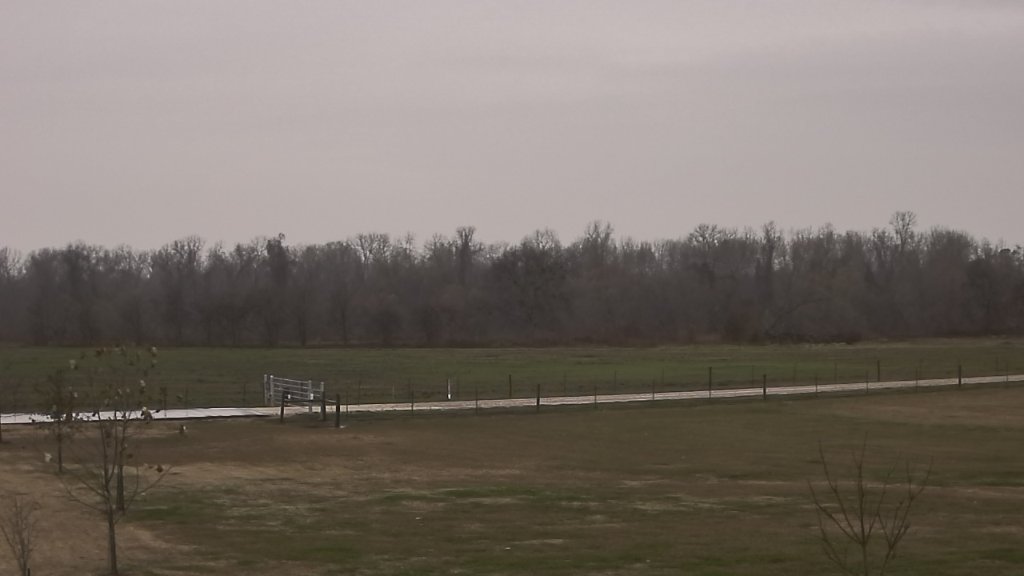 011020210925_l.jpg