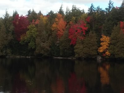 20161005_135732.jpg