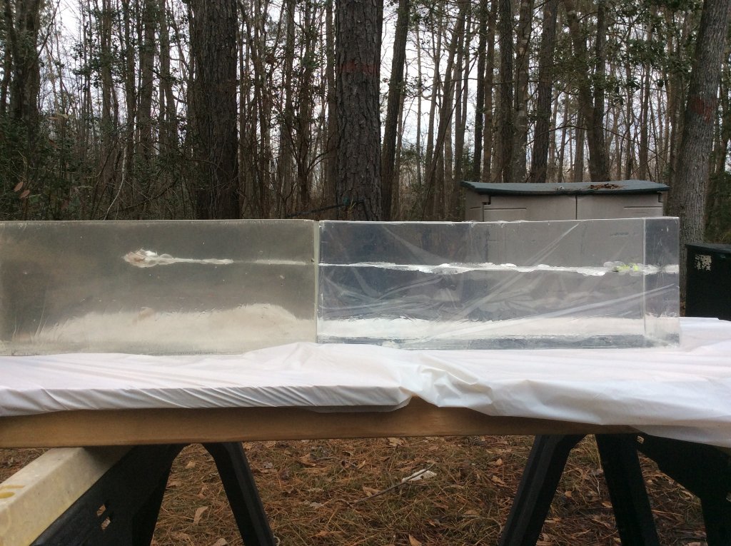 200 gr FTX with 7 gr Unique 45 ACP HiPoint Carbine 24 inch penetration from 25 yds..jpg