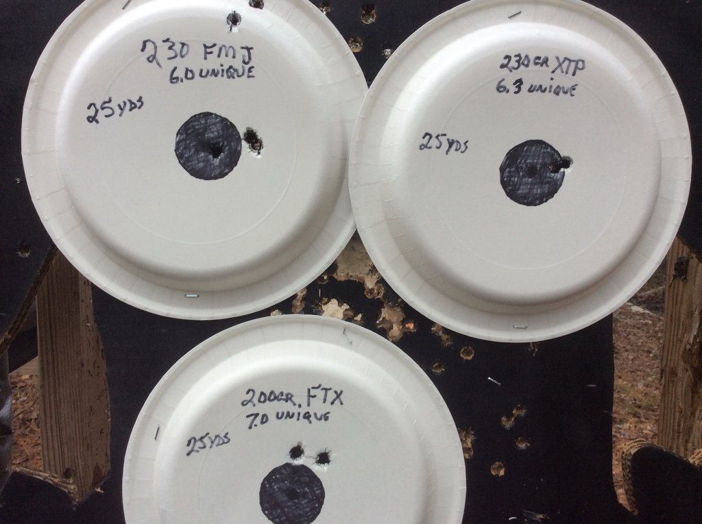 targets shot with HiPoint 45 ACP carbine 25 yds..jpg