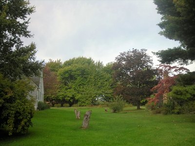 DSCN1470.JPG