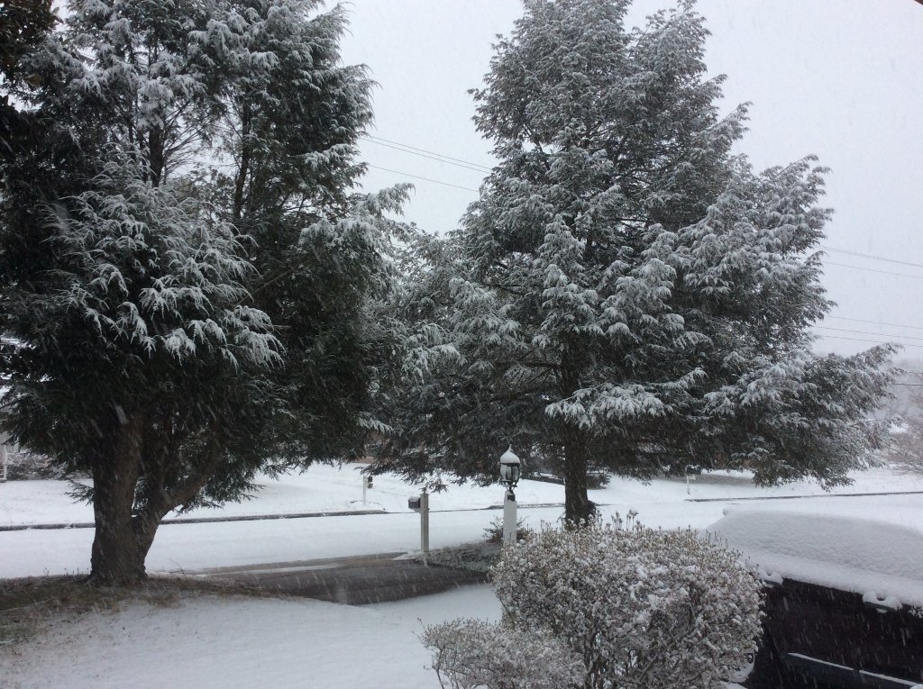 Jan 31 snowy sunday.jpg