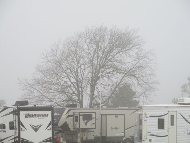 210209 001 @ Conroe 002.jpg