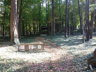 20161015_153425.jpg