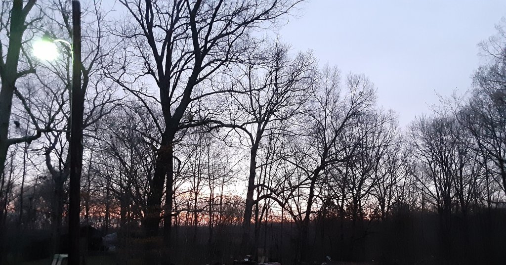 20210317_070318.jpg