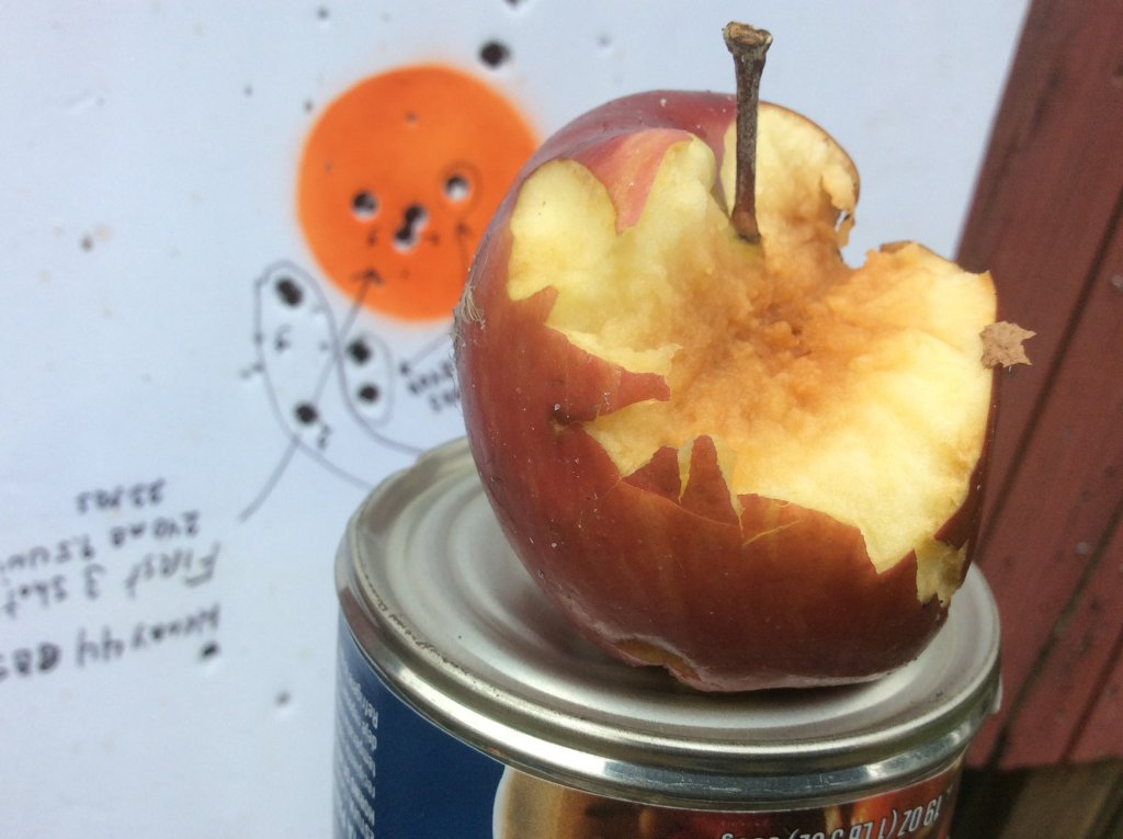30 cal apple damage.jpg