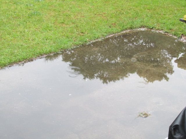 210507 001 overnight thunderstorm 003.jpg