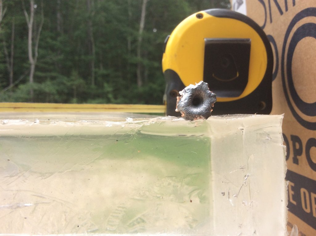 45 colt bulldog shot  230 xtp 16 inch pentration   nice.jpg