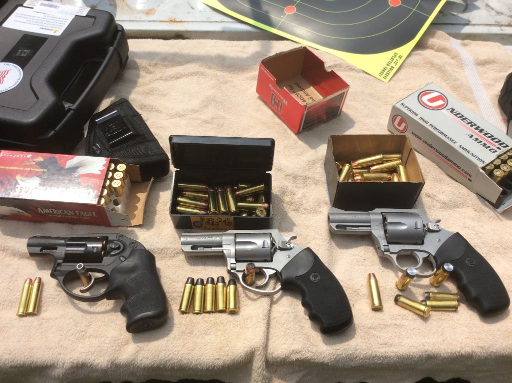 let the dogs loose.jpg