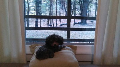 IMG_20161023_082040.jpg