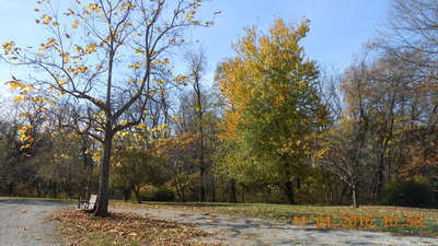 DSCN1573.JPG