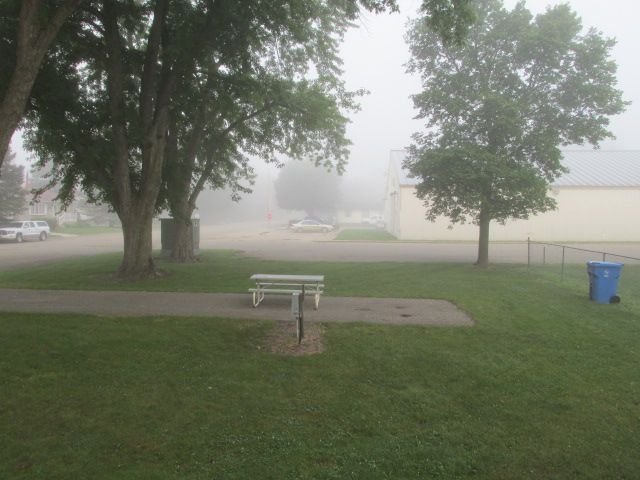 210809 001 foggy morning 001.jpg