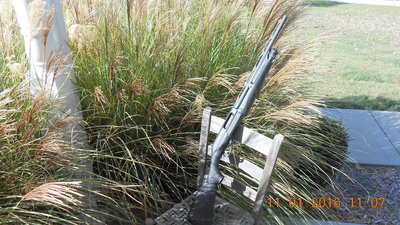 DSCN1578.JPG
