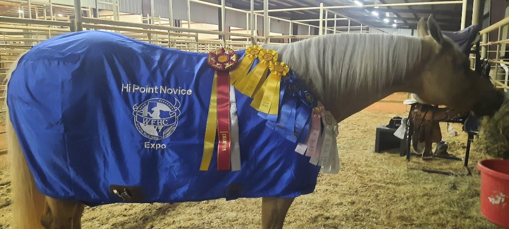 hi point novice champion.jpg