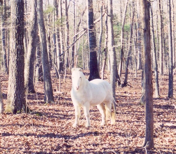 casper great.jpg
