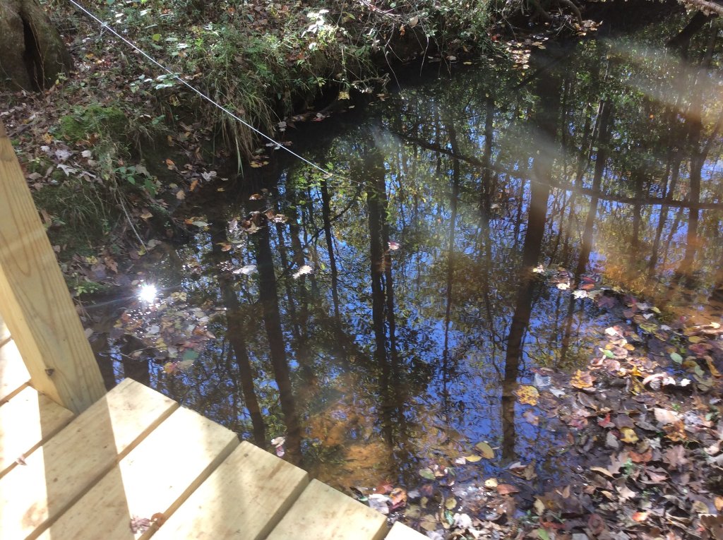 minnow trap in the creek.jpg