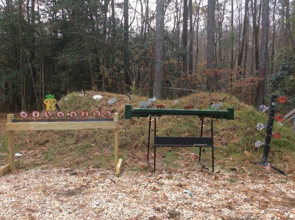 plenty of .22 plinking to do.jpg