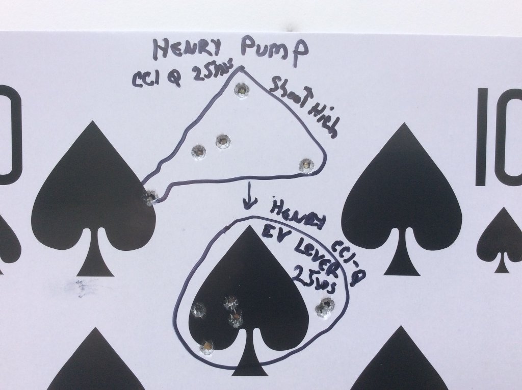 Henry pump vs. the Henry Evil Roy.jpg