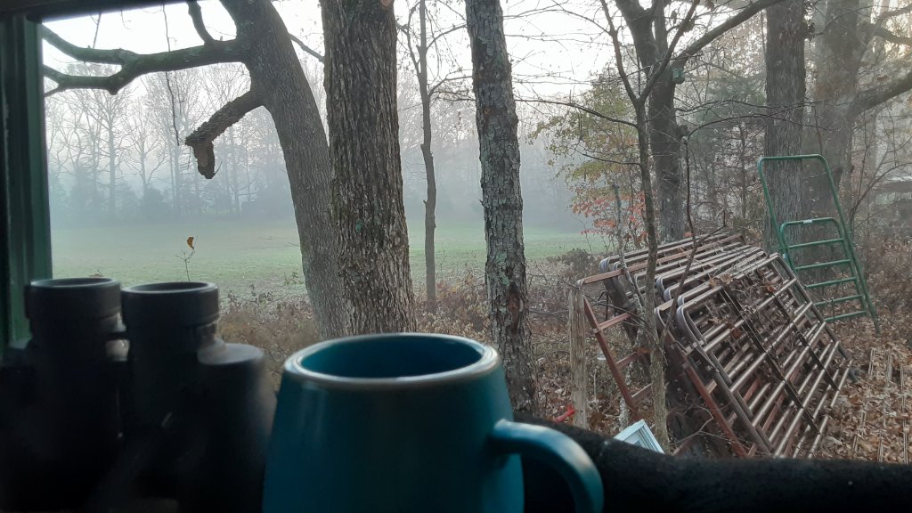 20211202_070100.jpg