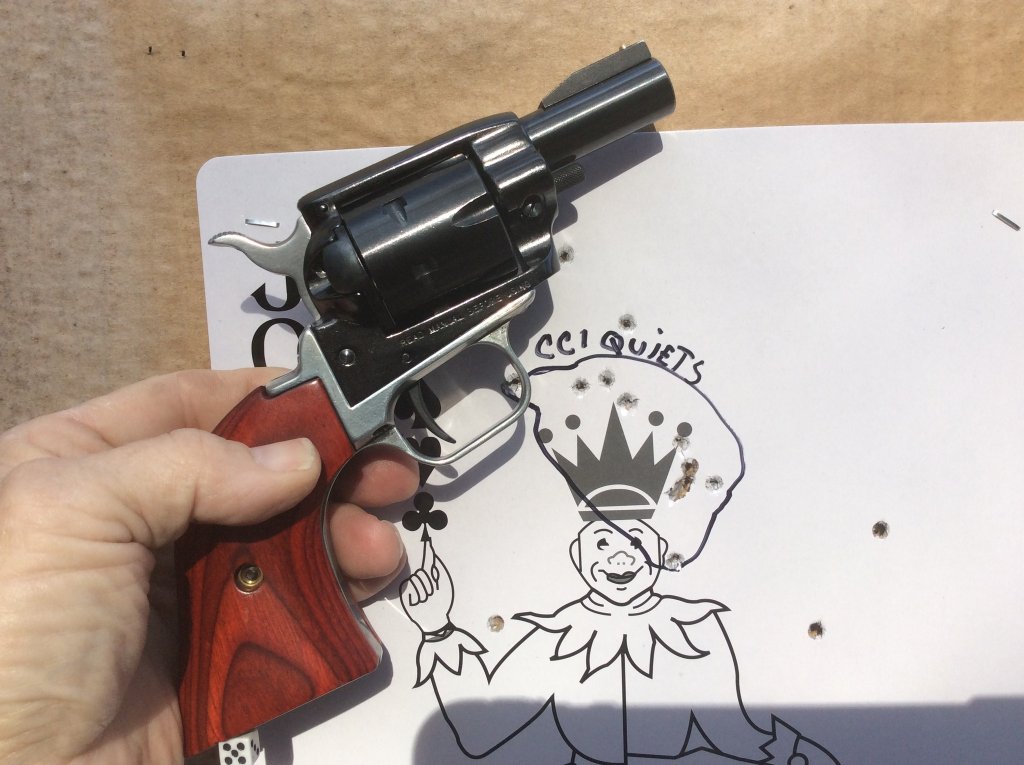 Mr. Blackjack loved the CCI 22 LR Quiets.  Shots scattered around bottom are 22 Mag.jpg