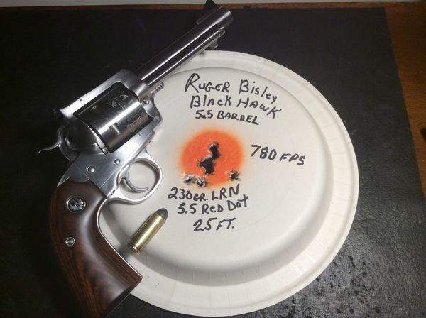 nice mild 45 colt load.jpg