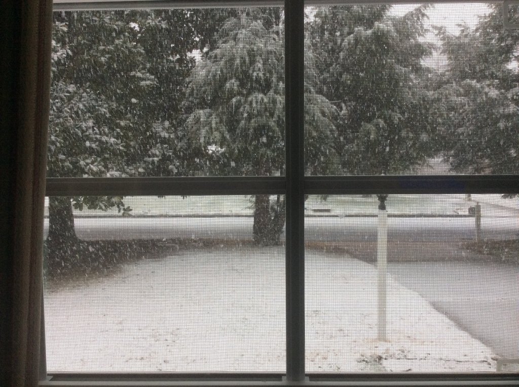 heavy snow 1-3-22.jpg
