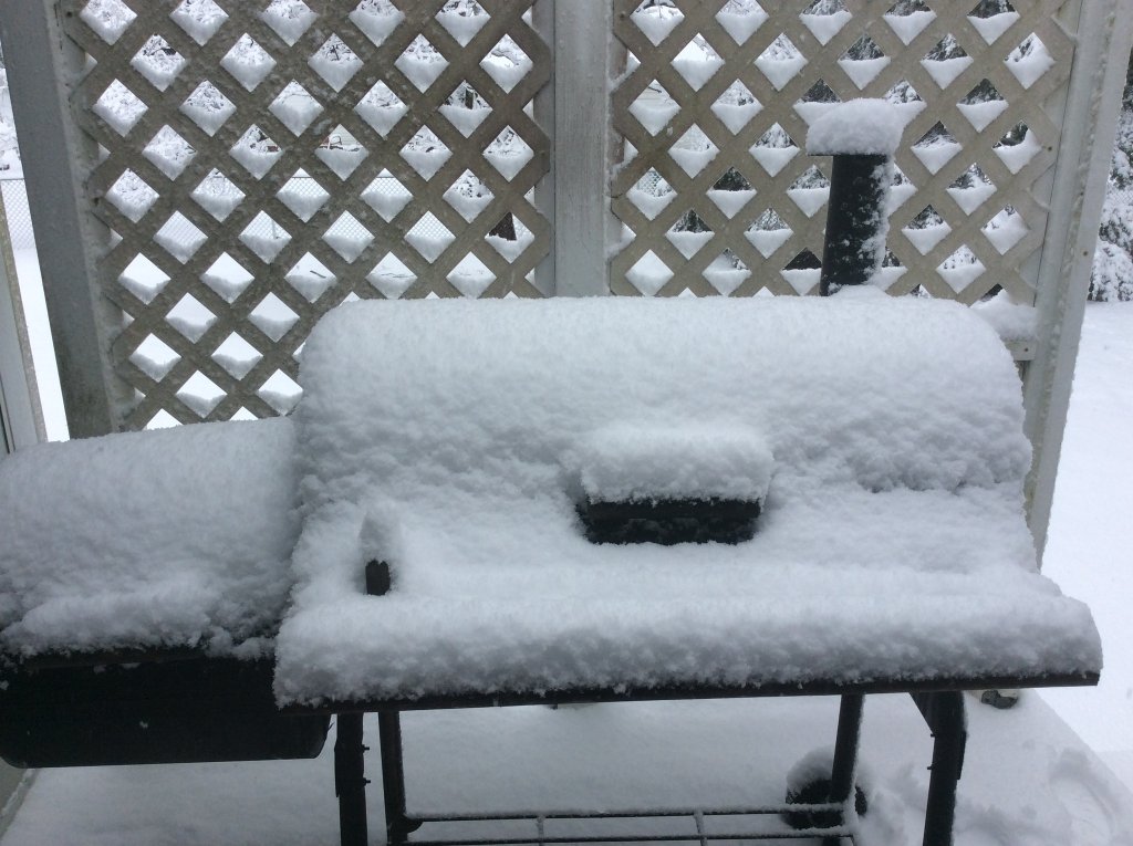 jan 3 2022 snow.jpg