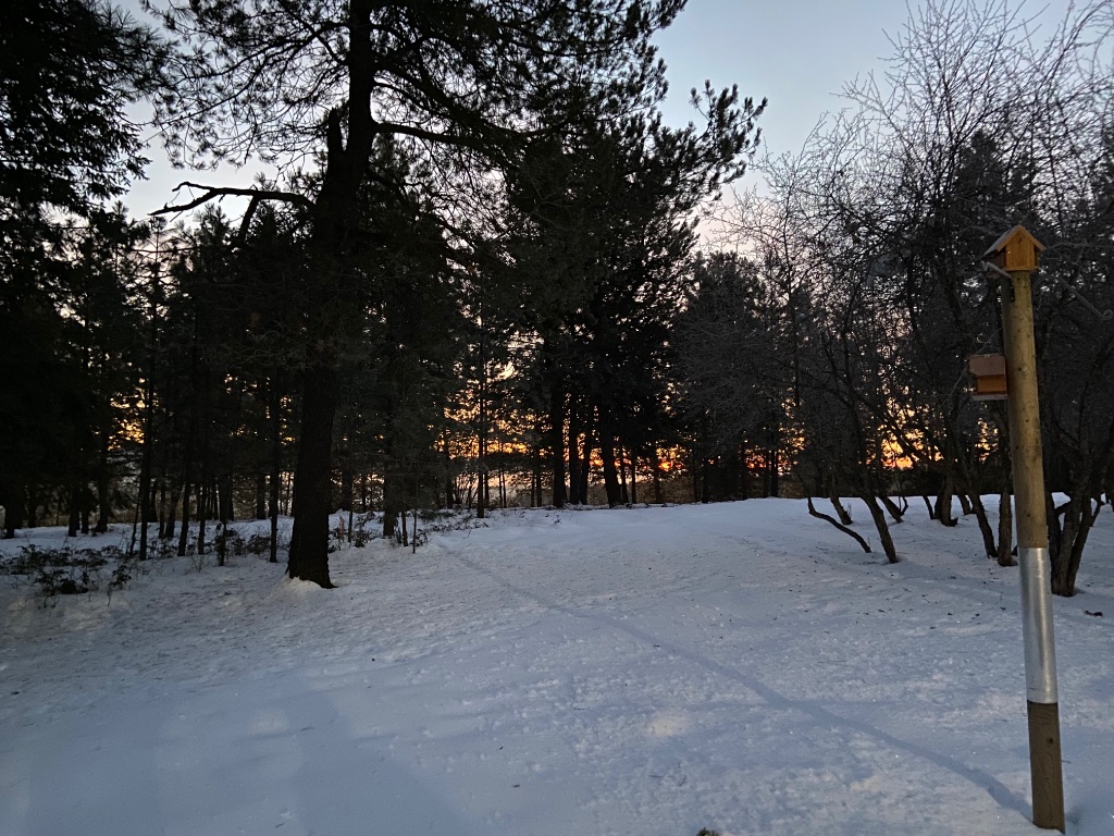 0373CADE-7E7B-4B0A-A0D4-B2AE5086C06F.jpeg