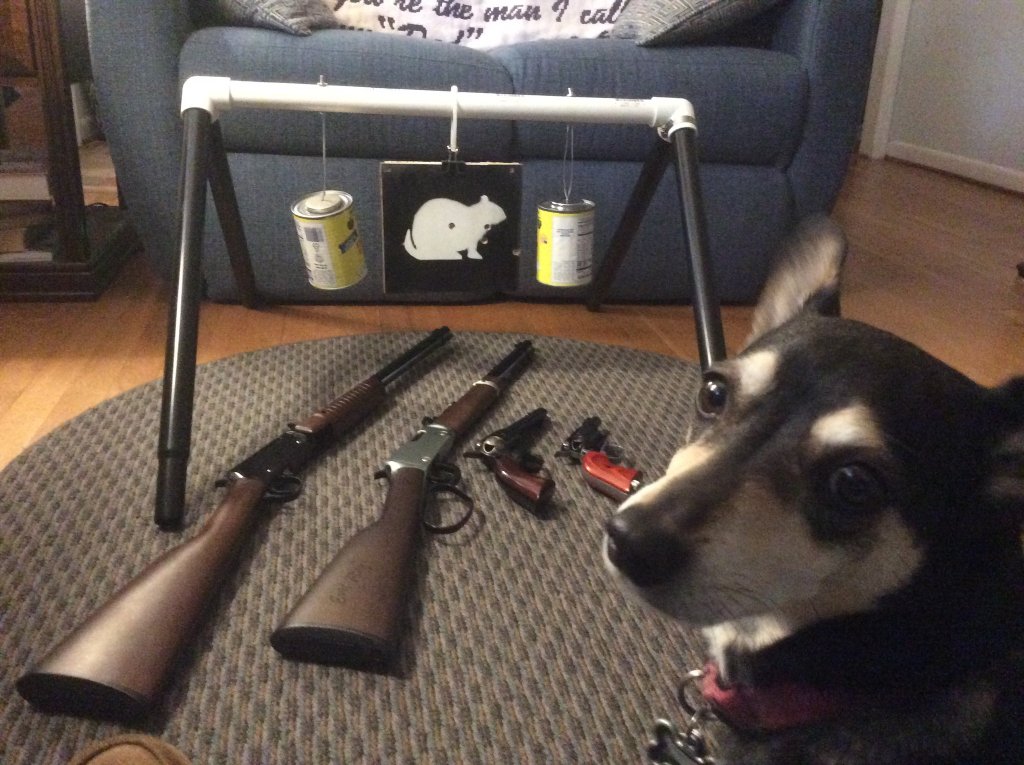 light duty portable target  2 7 22.jpg