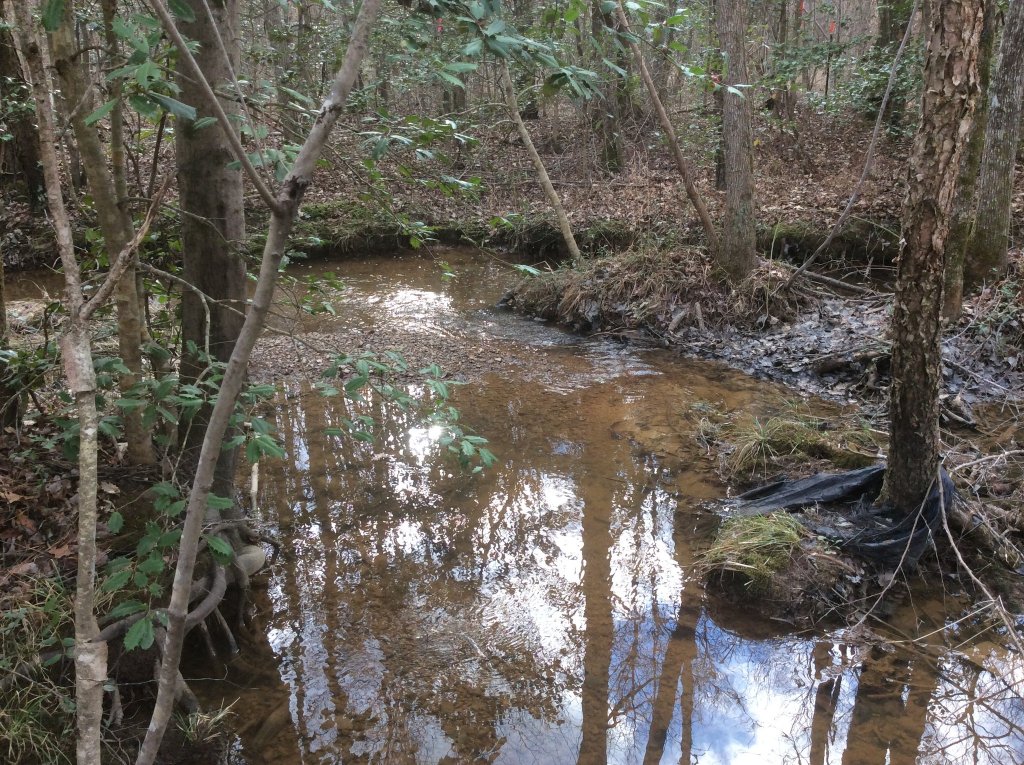 target area for light pinking.jpg