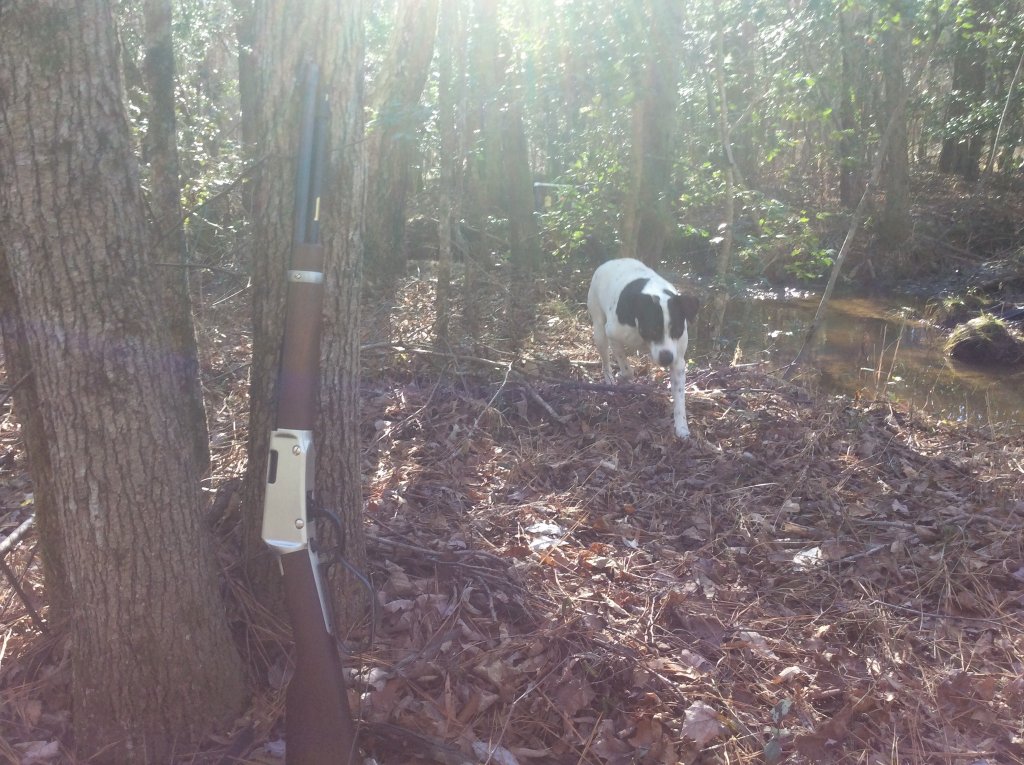 great way to enjoy the day  2-9-22.jpg