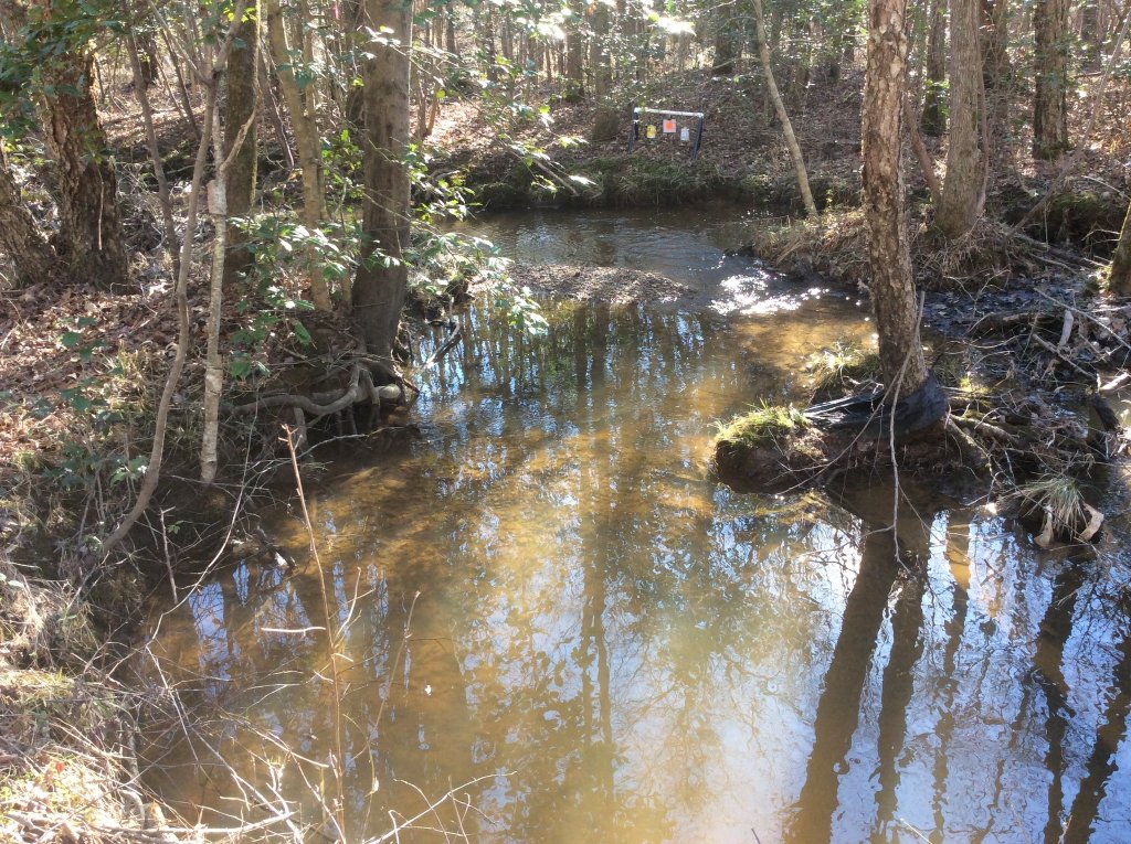 .22 plinking target setup 15-20 yds out.jpg