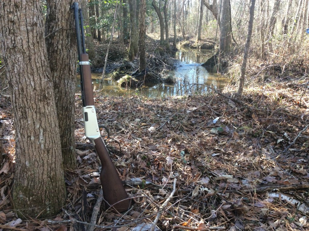easy plinking with the Henry 22 at the creek.jpg