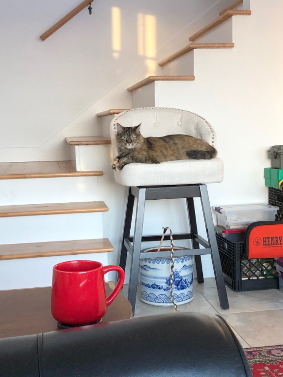 060BAB09-CA8E-46FF-A22D-CA0020E699D6.jpeg