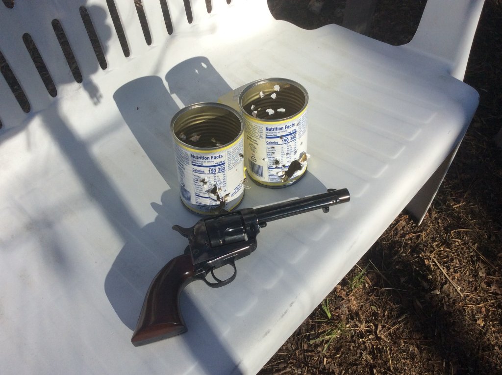 12 shot .22 cattaleman gets it done.jpg