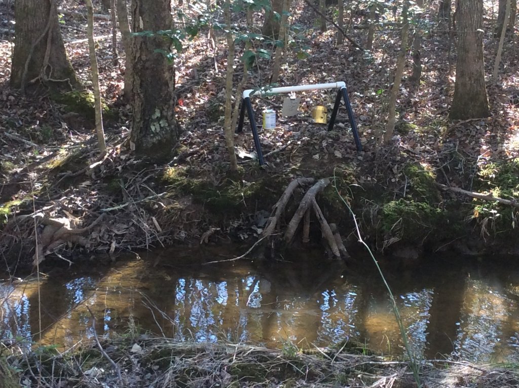 plinking cans 3-1-22.jpg