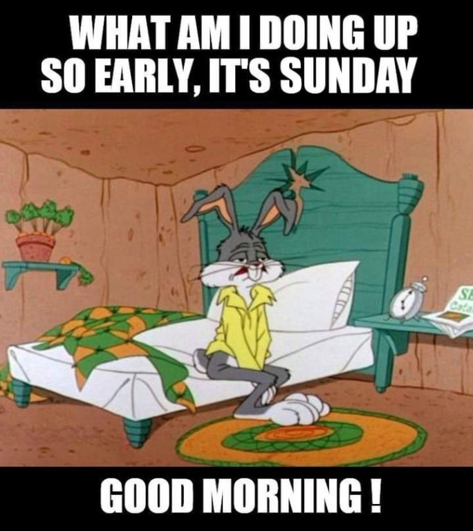FB_IMG_1646574158443.jpg